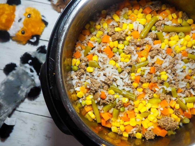 how-to-make-easy-homemade-dog-food-in-an-instant-pot