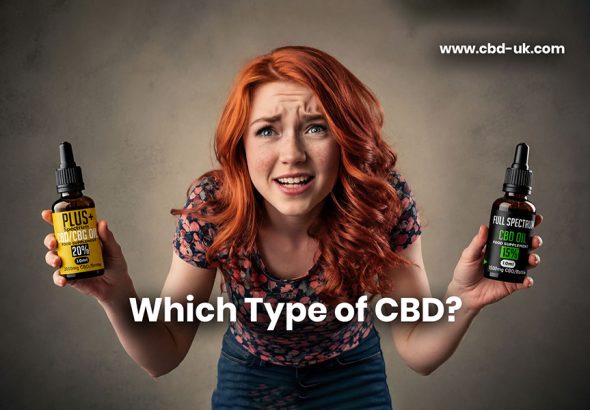 which cbd oil do ichoose